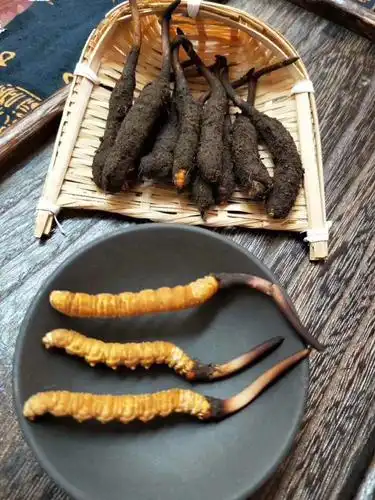 三江源2020年玉树鲜草狂欢季