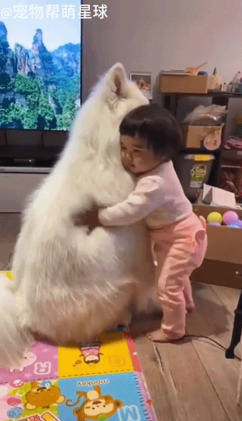 这对姐妹花太有爱了吧小萌妹温柔抱住姐姐撒娇网友的心秒被融化