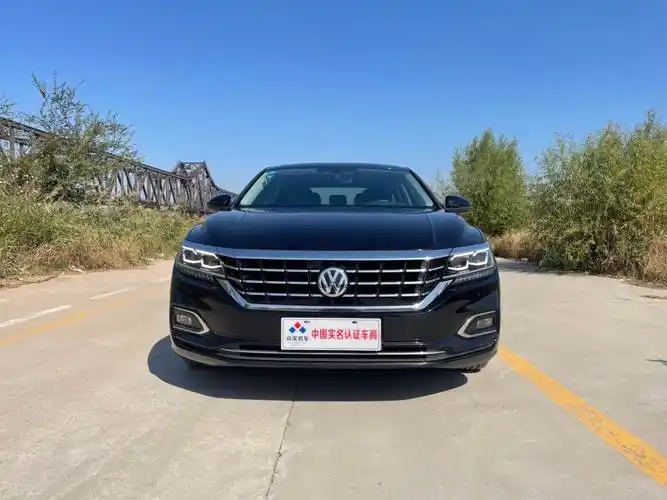 大众 帕萨特  2019款 330tsi 豪华版图片