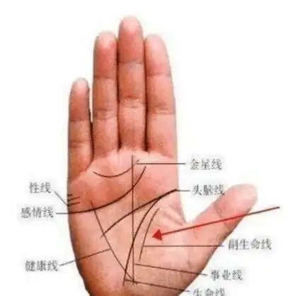 手相千金纹女人,千字纹手相女,罕见的富贵女人手相