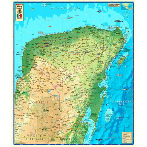 超大巨幅墨西哥尤卡坦半岛地图英文版创意海报旅游办公室装饰画