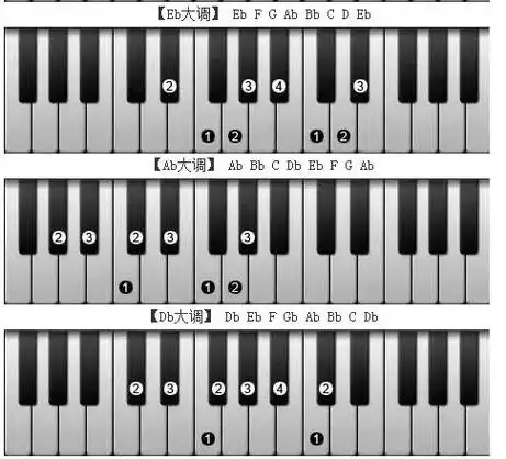 电子琴上哪个键是1234567?这里有你想知道的答案!