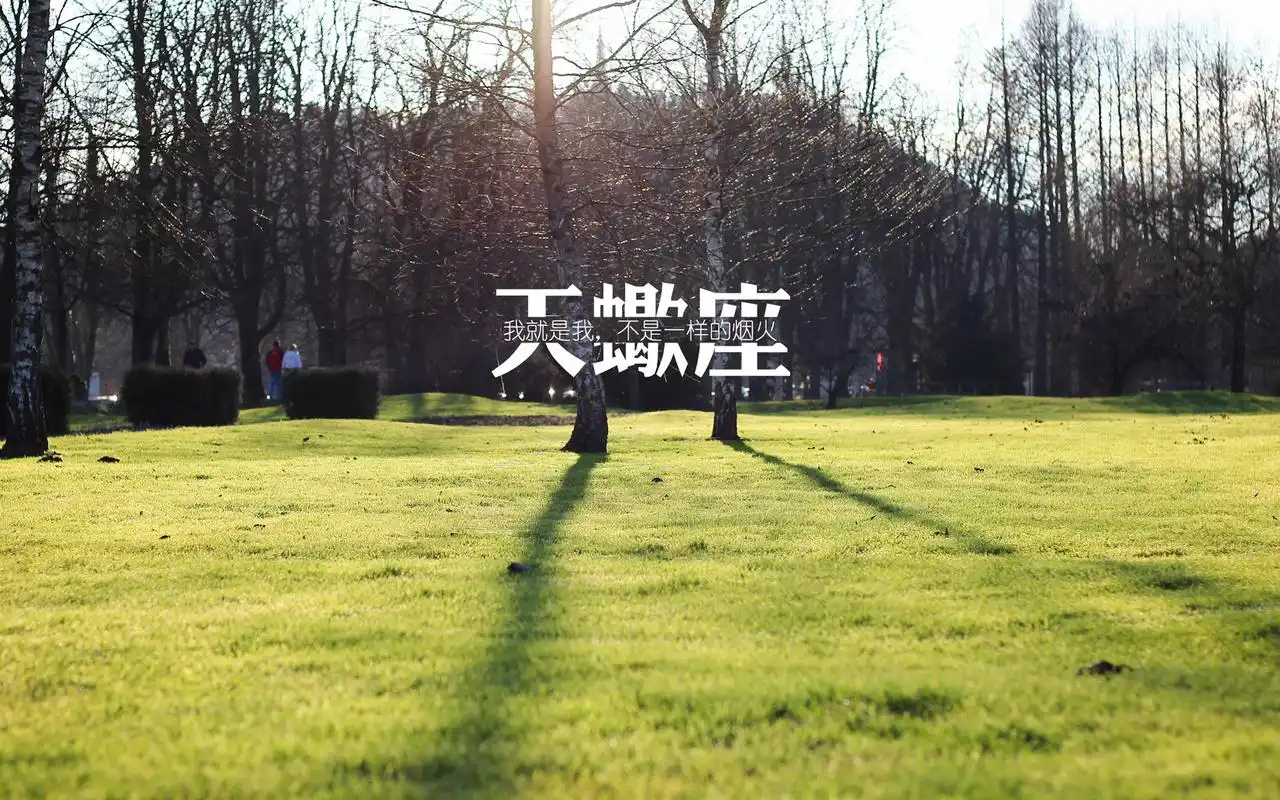 天蝎座唯美语录高清桌面壁纸下载6