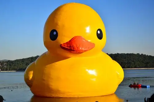 九月二六日一早到颐和园拍大黄鸭(练习篇)