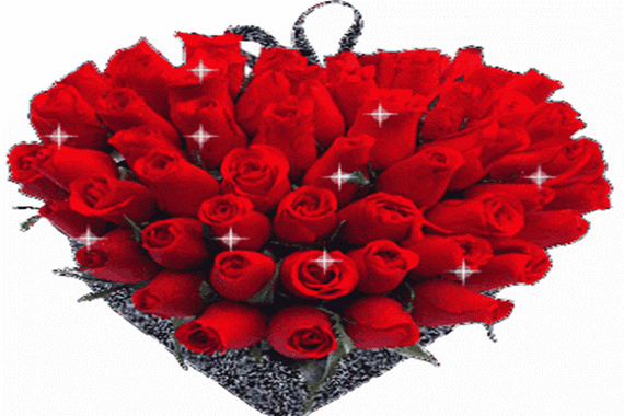 600_400gif 动态图 动图