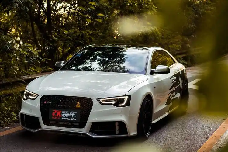 爱卡汽车 奥迪 奥迪(进口) 奥迪s5双门 文章2019-08-30 改装车 8895