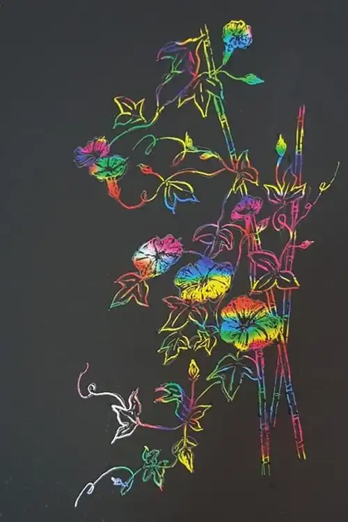 我的刮画作品 牵牛花 - 堆糖,美图壁纸兴趣社区