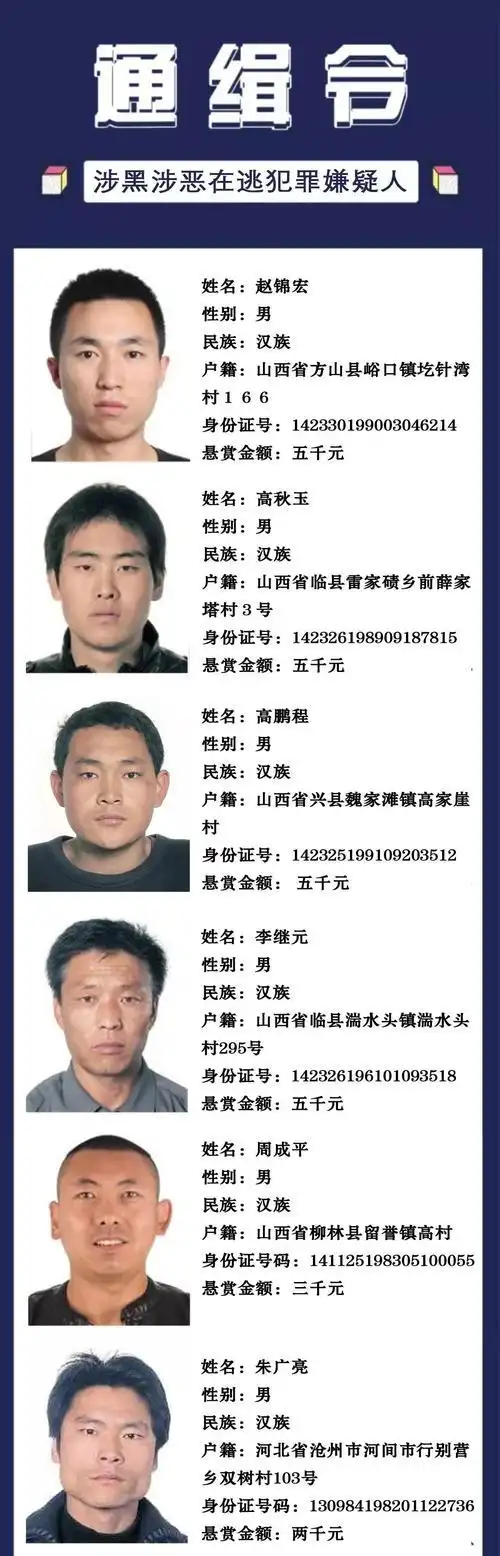 东营扫黑除恶名单