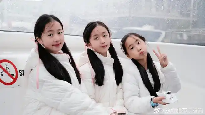 双胞胎布丁糖糖