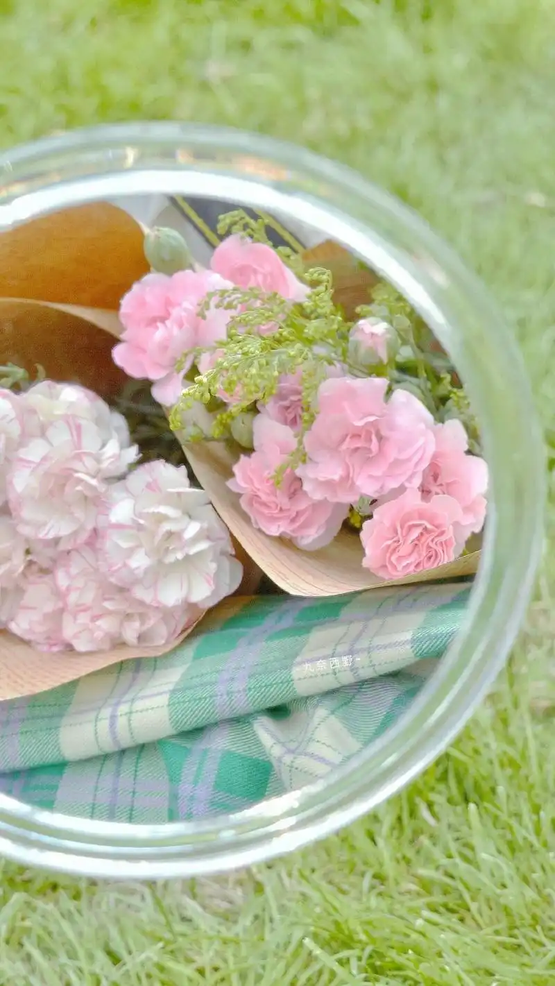 适合睡前自我治愈的朋友圈文案美好短句图片滑落你心底