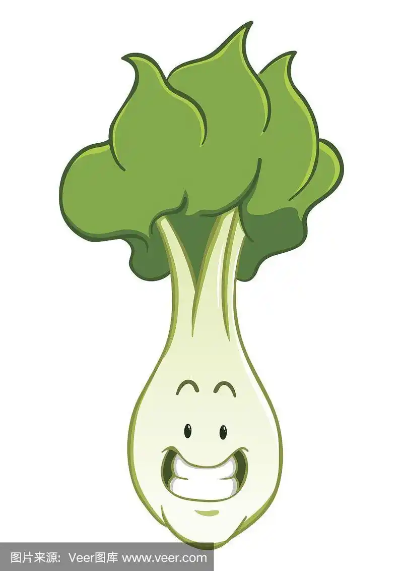 莴苣,动画片,可爱的,蔬菜,清新