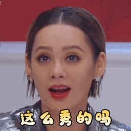 乘风破浪的姐姐宁静这么秀的吗惊讶搞怪逗gif动图_动态图_表情包下载