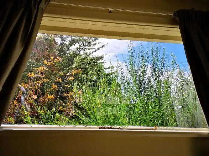 从窗户看外面的景色