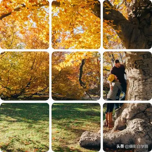 手机美图秀秀一张照片怎么做成九宫格图片九宫格怎么弄