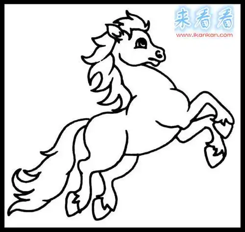 白龙马简笔画