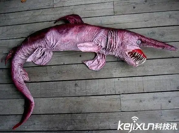 动物世界变异动物盘点 悚人的妖精鲨鱼