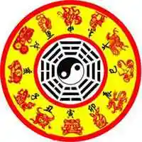 属马转运头像图片