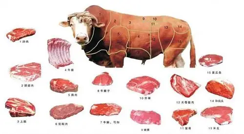 总而言之,细嫩,香软,还不柴不腻 一,牛的部位 牛肉类产品