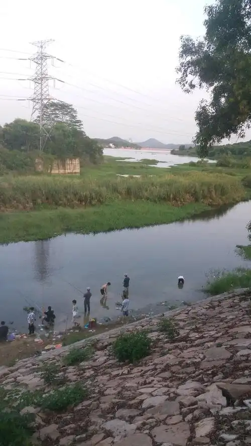号外号外深圳有免费渔场钓鱼啦速来围观
