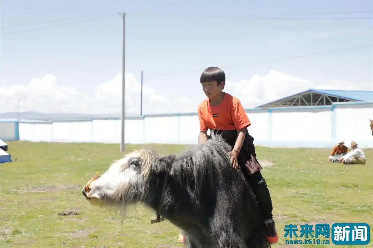 磨青稞打酥油 高原记录下东科日牧民"脱贫表情"