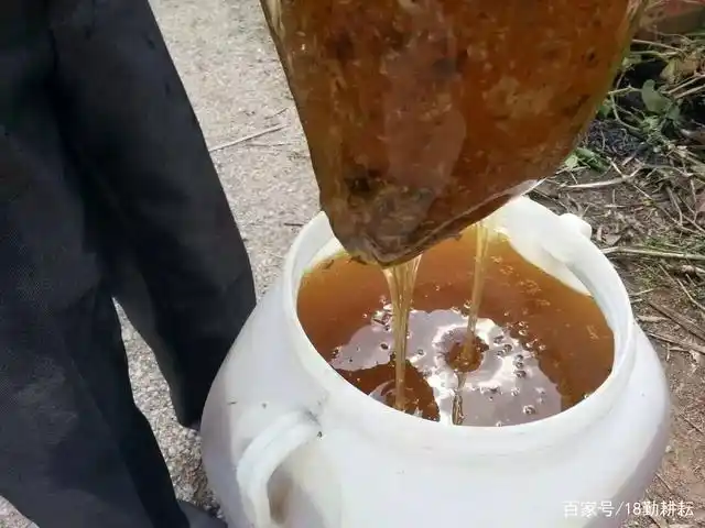 蜂蜜!都比喻说好听话像蜜一样甜!