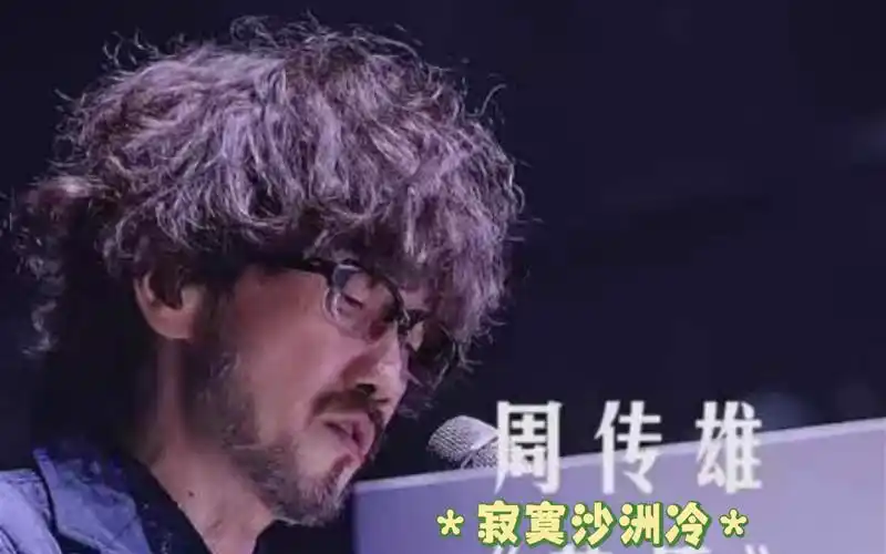 小刚寂寞沙洲冷