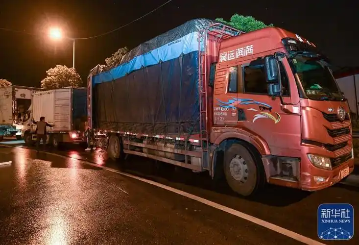 4月23日凌晨,杜凤洋驾驶的大货车停在上海青浦区华雅路卸货点向分销