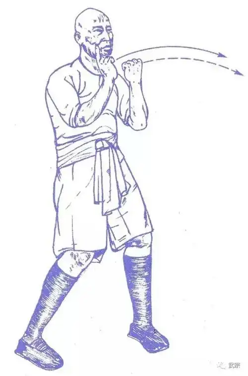 洪拳十二桥手上