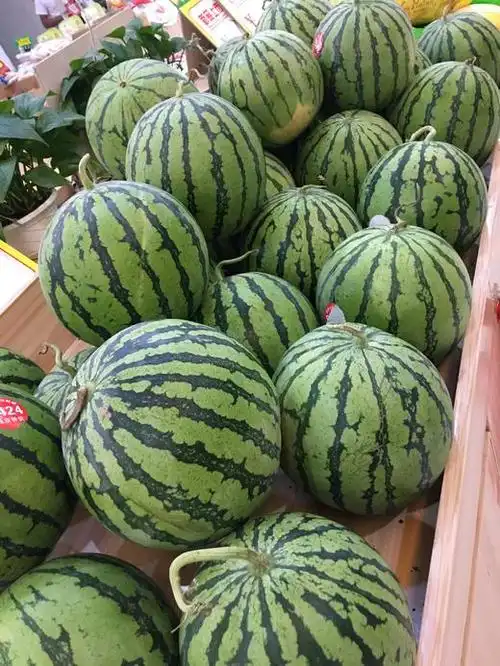 宏丰精选正宗上海8424麒麟瓜有籽麒麟瓜甜度非常好口感很好198一斤