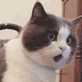 王源下颌骨脱位王源吃惊到下巴下颌骨脱位