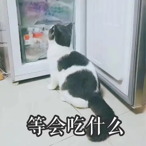 热门表情包原图精选(323个表情)-2018/04/20