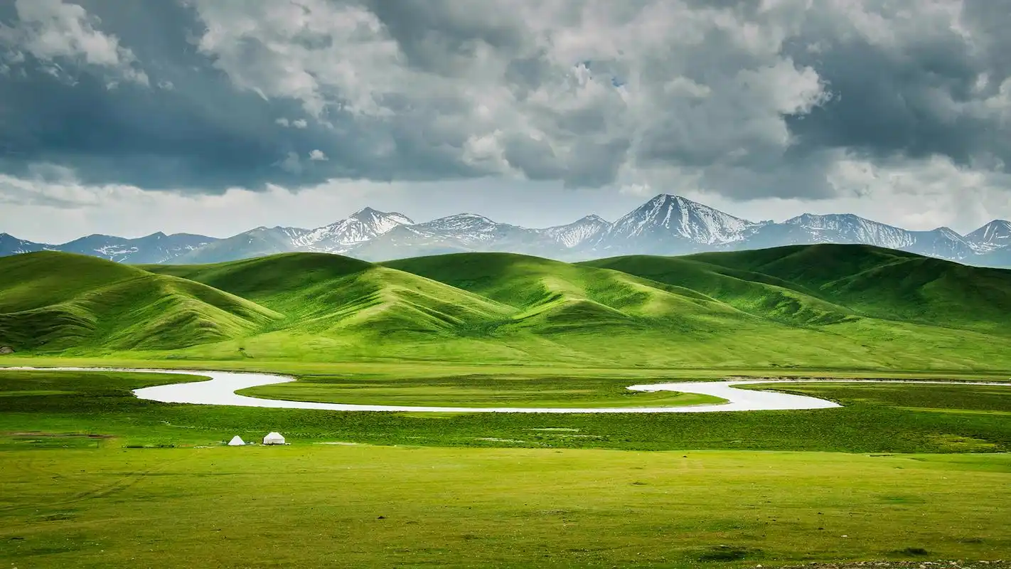 唯美清新护眼的绿色草原风景摄影高清宽屏壁纸