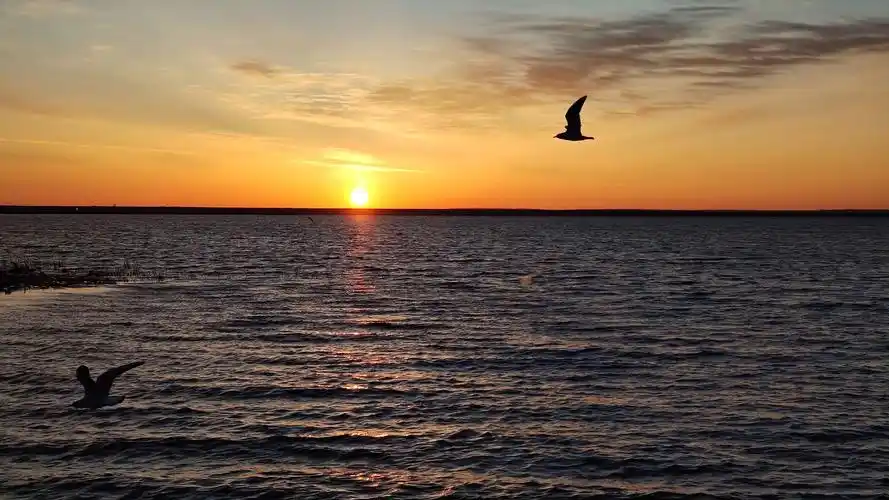 芦苇荡里最美的日出!居延海