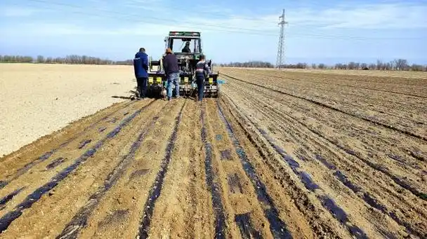 4月6日,在察布查尔镇乌宗布拉克农村社区春耕地里,两台联合整地机一前