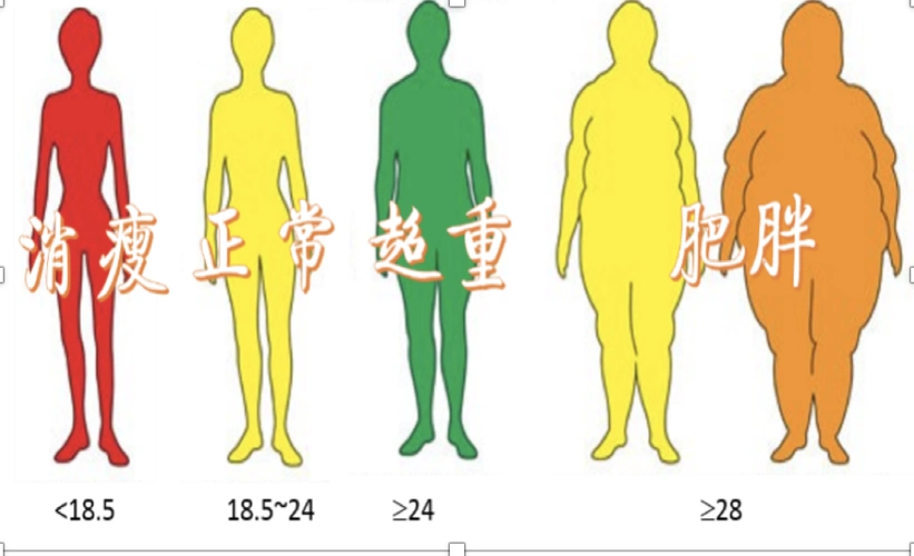 超重和肥胖也是营养不良我国10个成年人3个超重