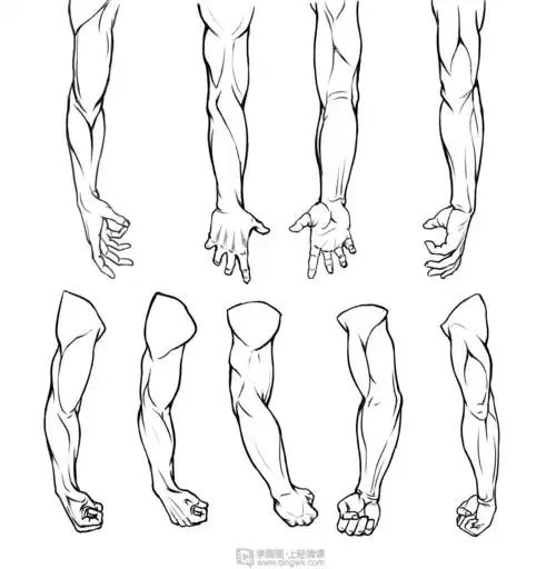 作业:如何学动漫插画之手臂的画法与训练技巧 - rh-13-093饕餮陛下的