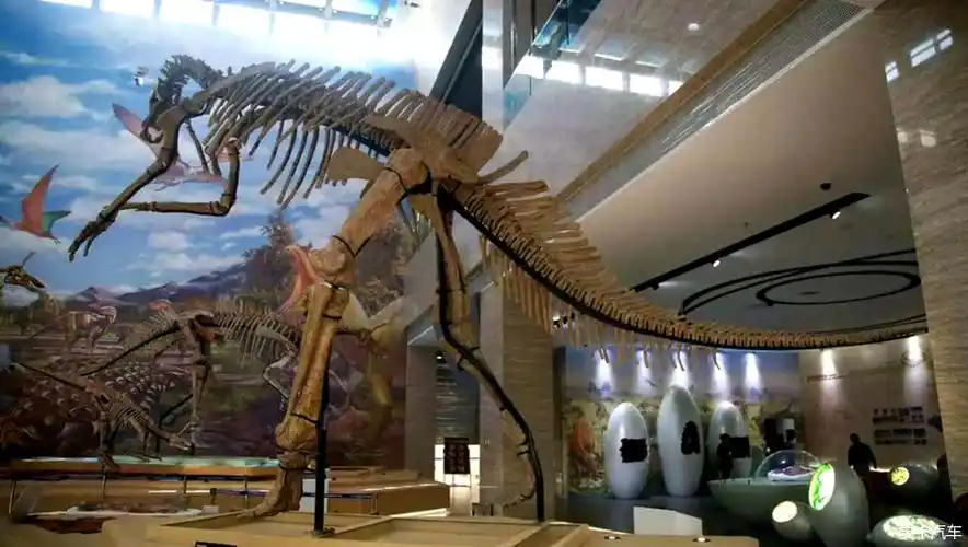> 走进莱阳白垩纪国家地质公园——恐龙化石博物馆