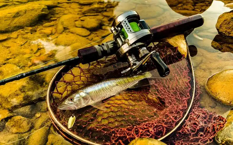 arong溪流路亚&vlog.15