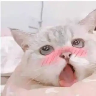 对阿黑颜产生了恐惧