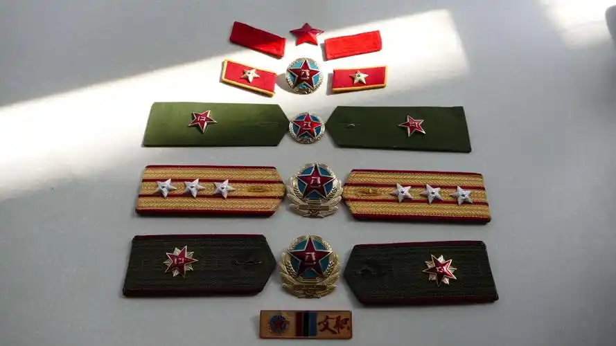 不同时期的领章帽徽.