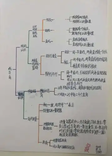 【312学生作品】《线与角》思维导图