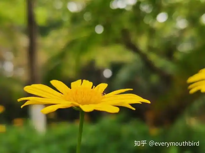 我为什么感觉苹果六的800万像素拍出来的比小米4800万像素拍出来的