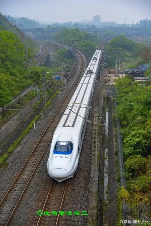 重庆铁路井西线,蔡歌联络线上的铁路机车