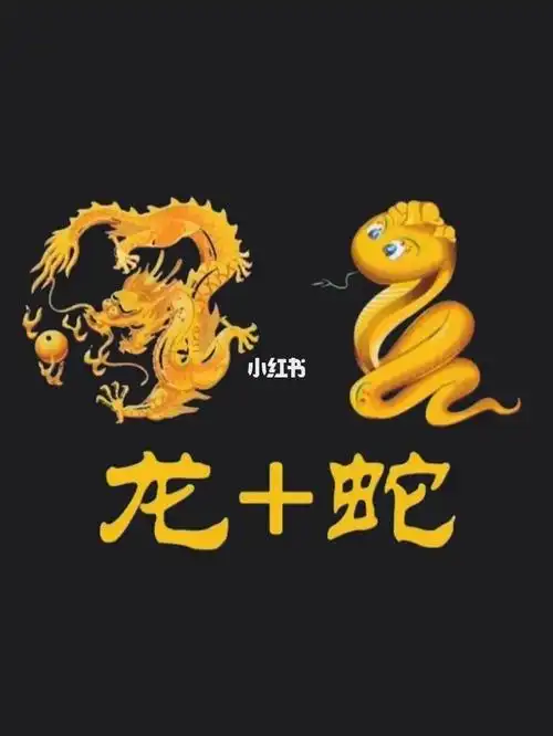 logo设计里面融入龙和蛇是什么样子呢
