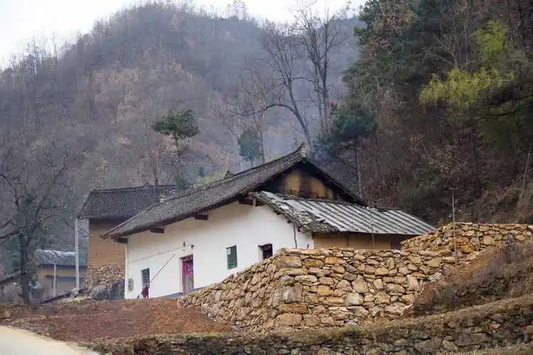 行走秦岭:在山里拍了11栋老房子,假若让你挑,你会选择哪一栋?