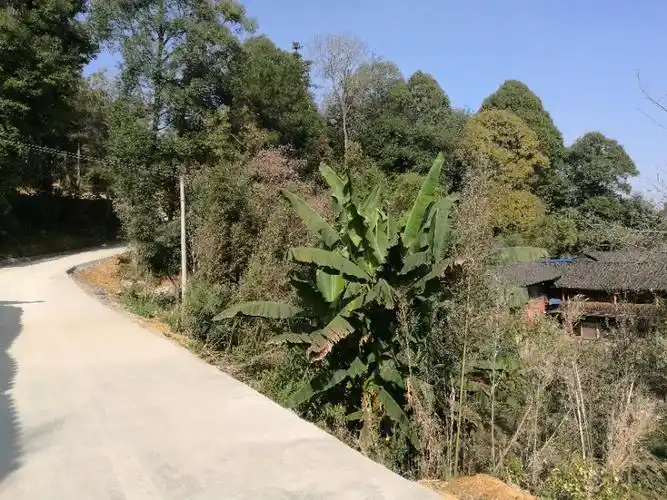 石阡县龙塘镇香花寺村三组变化前后