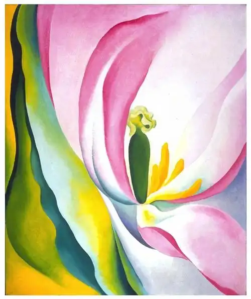 桃子姐姐的相册乔治亚欧姬芙花的隐喻