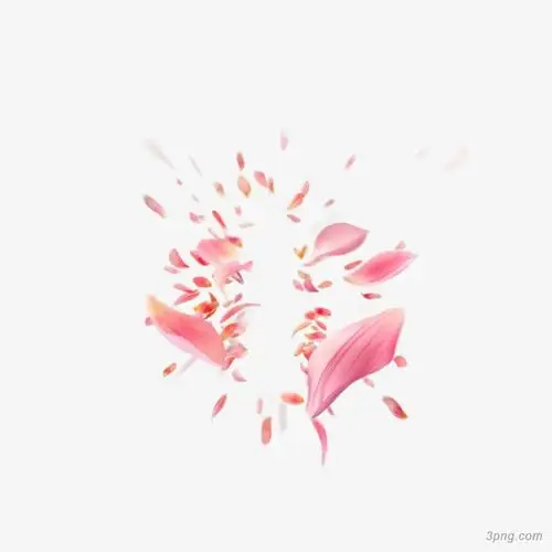 创意粉色花瓣png素材透明免抠图片-动植人物