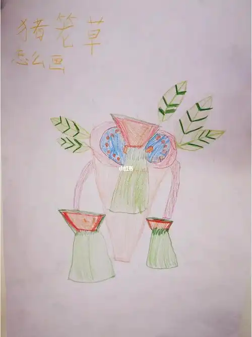 猪笼草儿童彩铅画