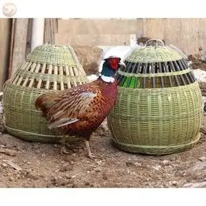 竹编竹鸡笼家用